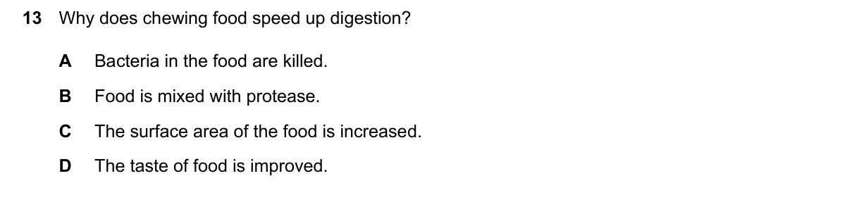 Question 13, June 2024, 0610 Paper 23
