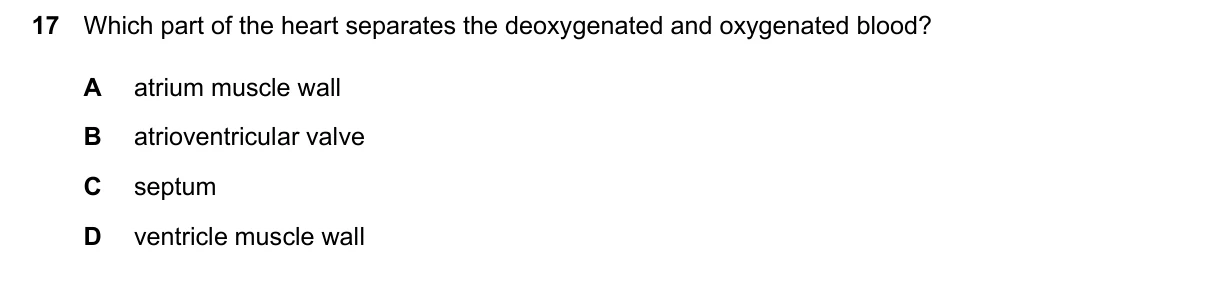 Question 17, June 2024, 0610 Paper 23