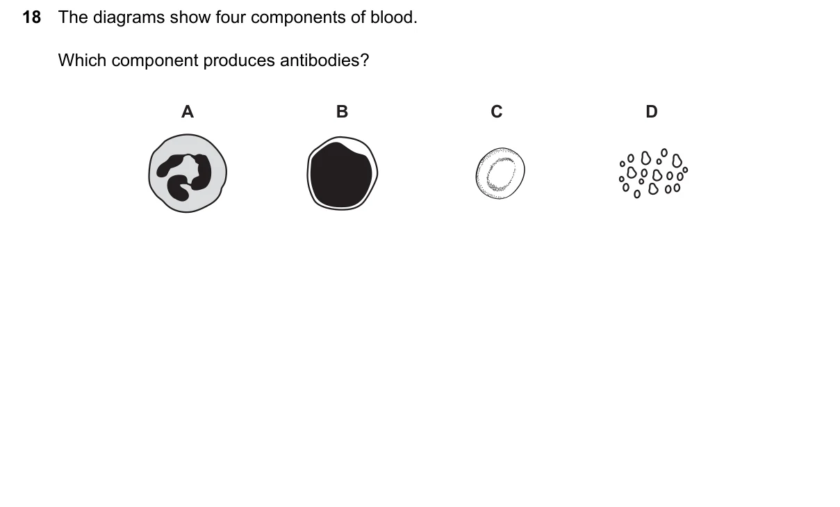 Question 18, June 2024, 0610 Paper 23