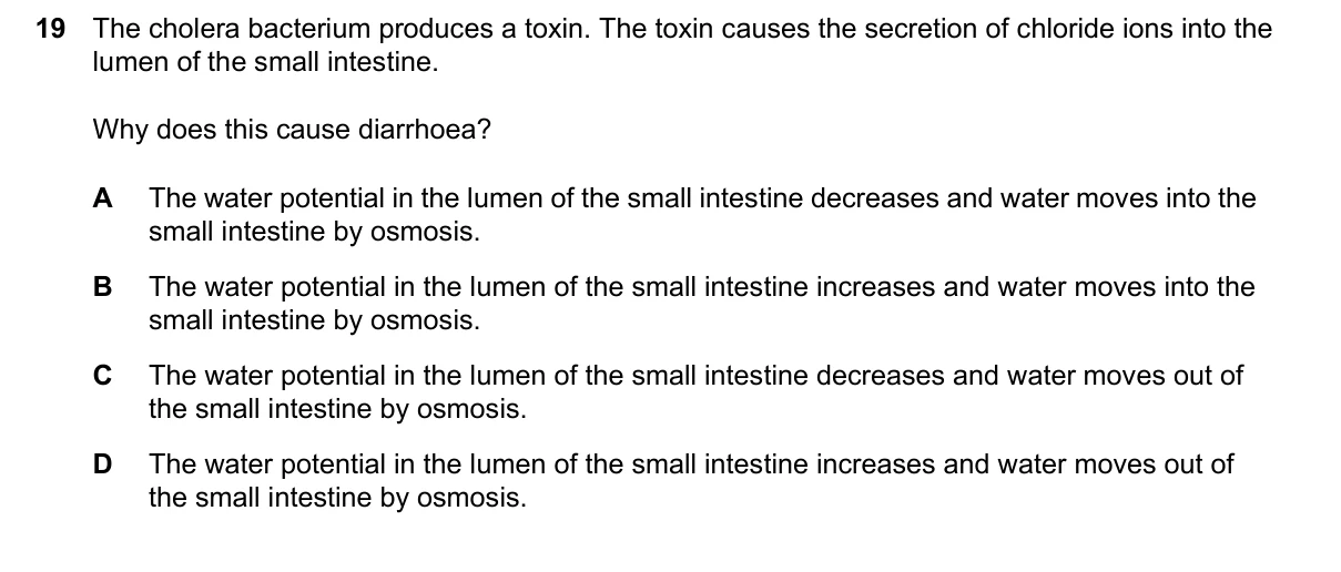 Question 19, June 2024, 0610 Paper 23