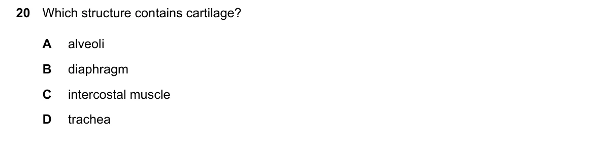 Question 20, June 2024, 0610 Paper 23