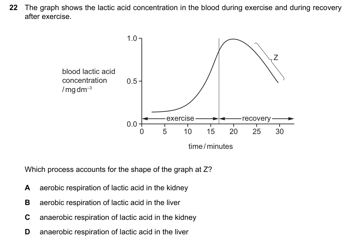 Question 22, June 2024, 0610 Paper 23
