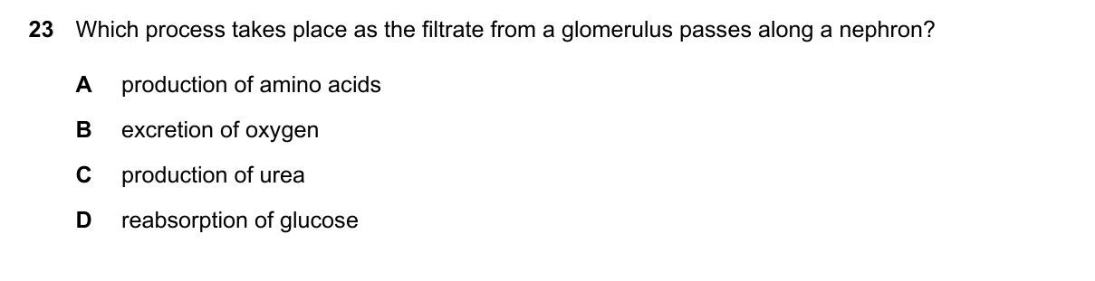 Question 23, June 2024, 0610 Paper 23