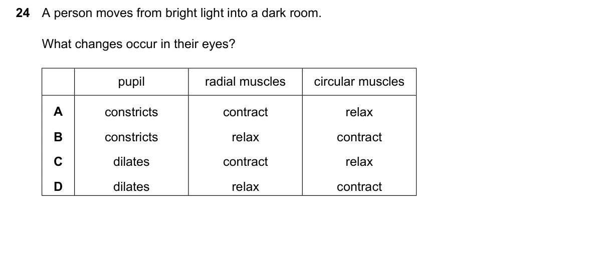 Question 24, June 2024, 0610 Paper 23