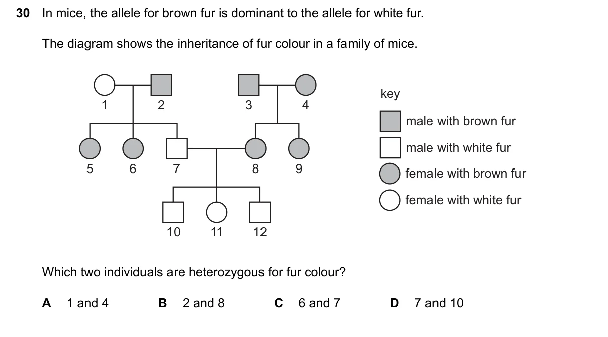 Question 30, June 2024, 0610 Paper 23