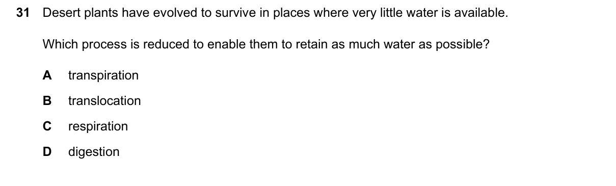 Question 31, June 2024, 0610 Paper 23