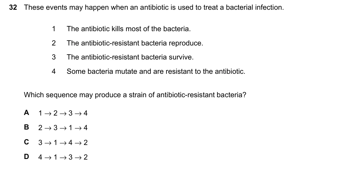 Question 32, June 2024, 0610 Paper 23
