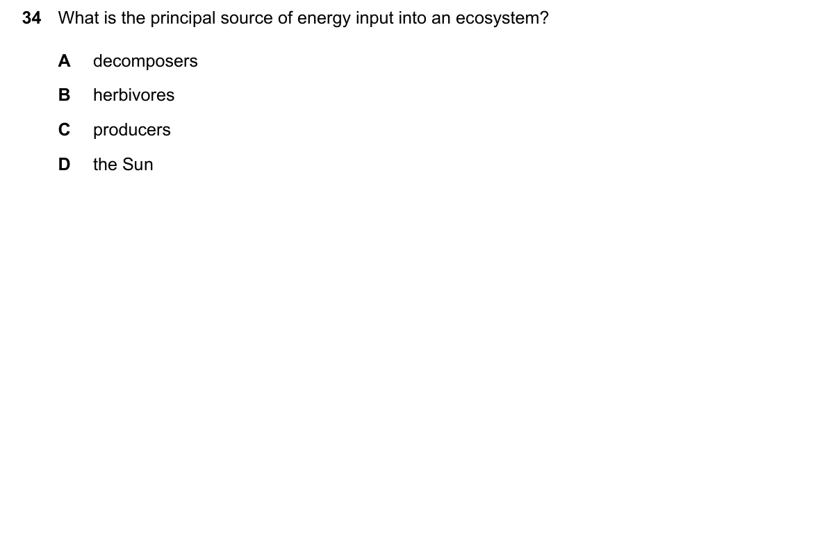 Question 34, June 2024, 0610 Paper 23