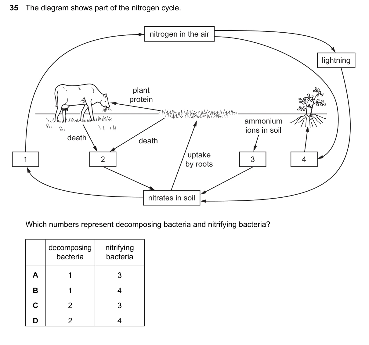Question 35, June 2024, 0610 Paper 23