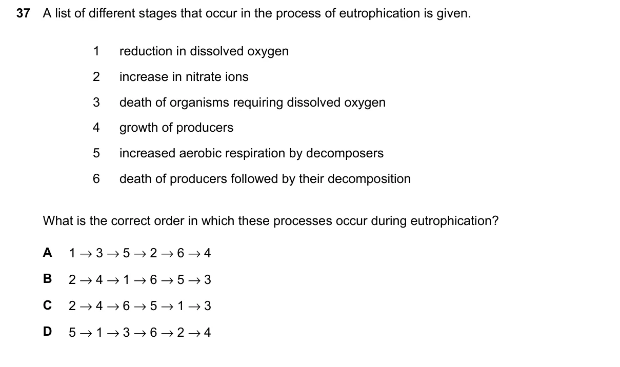 Question 37, June 2024, 0610 Paper 23