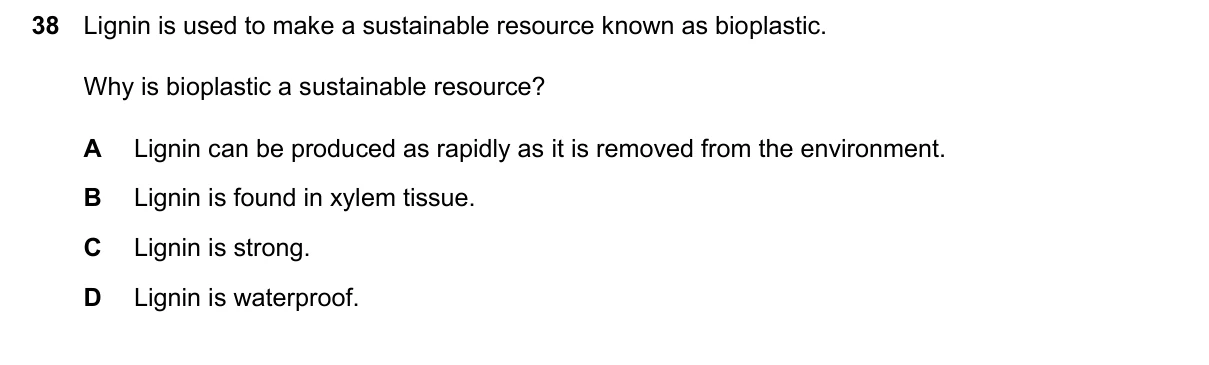 Question 38, June 2024, 0610 Paper 23