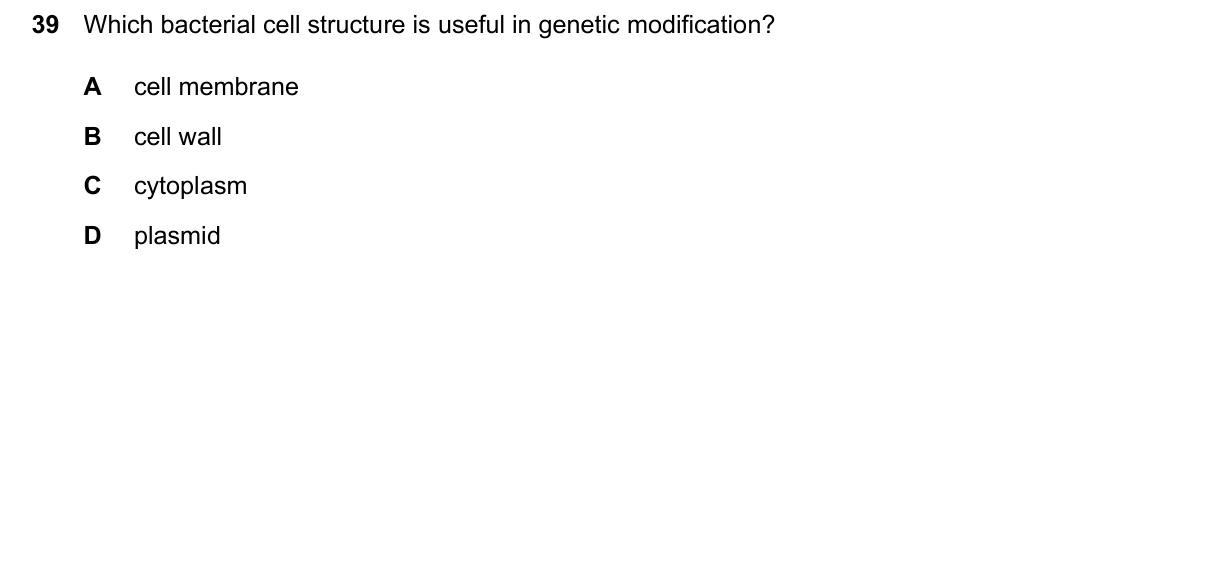 Question 39, June 2024, 0610 Paper 23