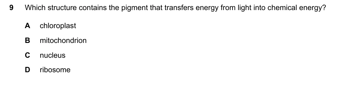 Question 9, June 2024, 0610 Paper 23