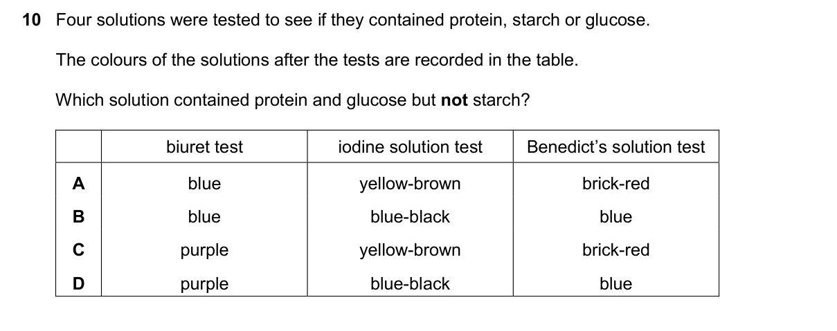 Question 10, November 2024, 0610 Paper 11