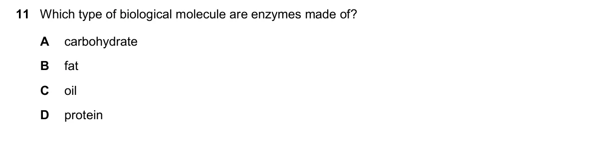 Question 11, November 2024, 0610 Paper 11