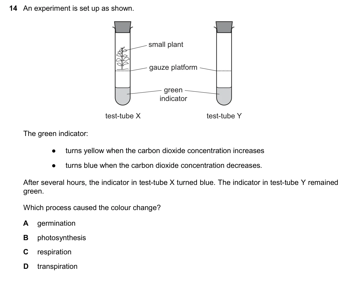Question 14, November 2024, 0610 Paper 11