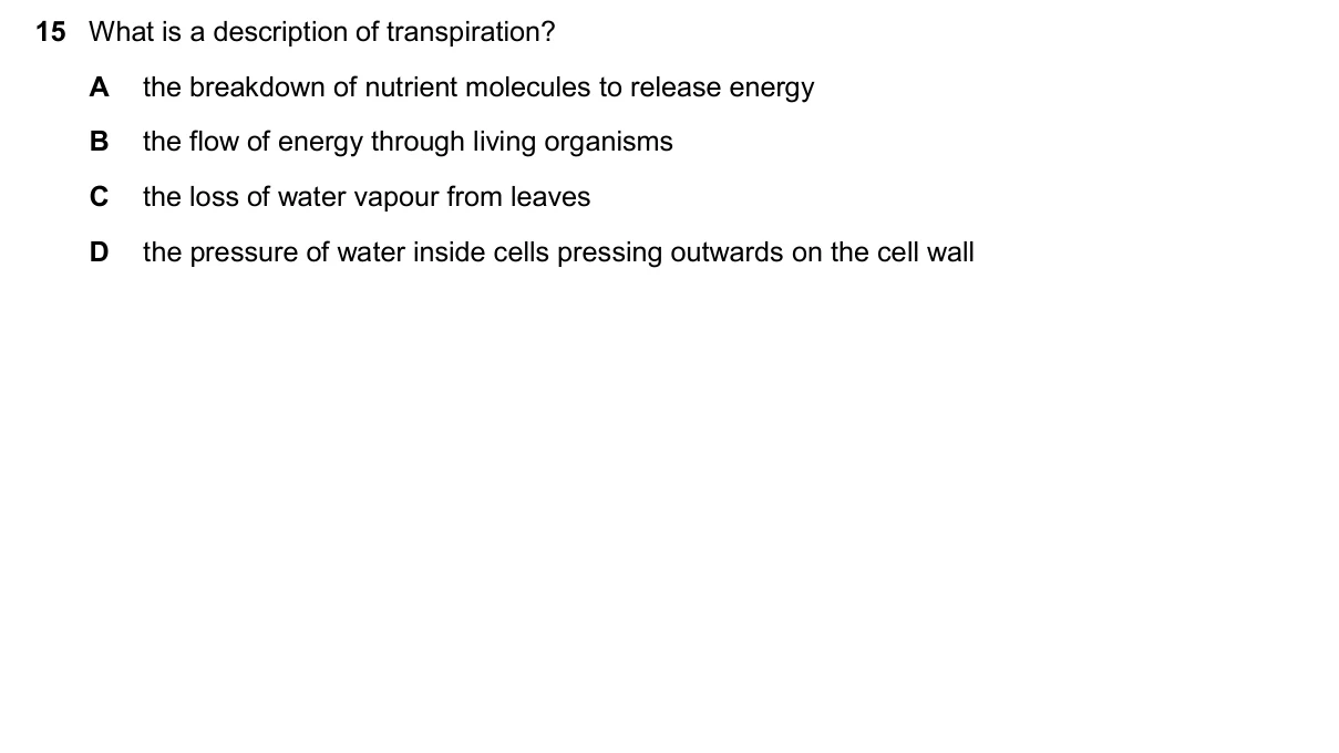 Question 15, November 2024, 0610 Paper 11