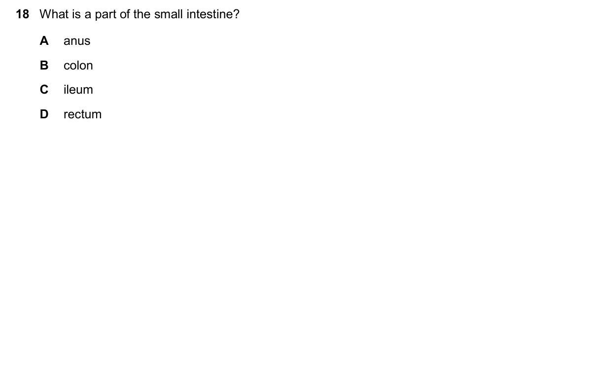 Question 18, November 2024, 0610 Paper 11