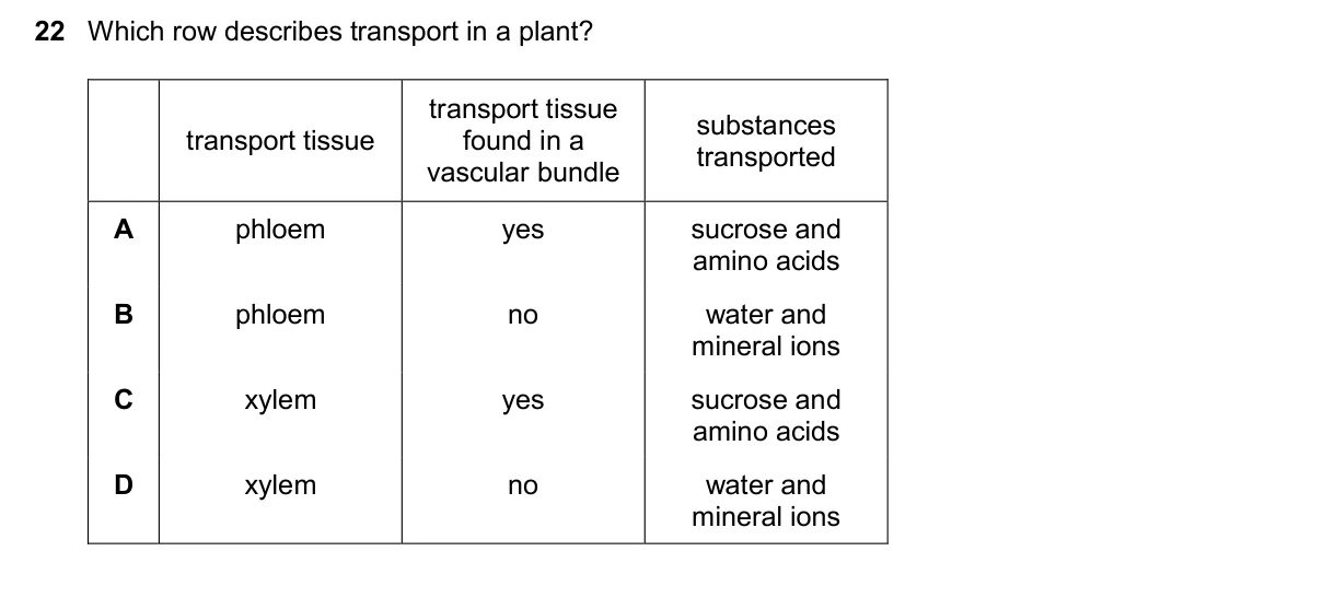 Question 22, November 2024, 0610 Paper 11
