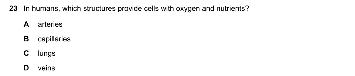 Question 23, November 2024, 0610 Paper 11