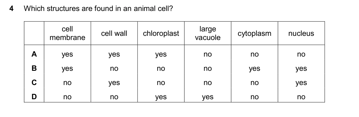 Question 4, November 2024, 0610 Paper 11