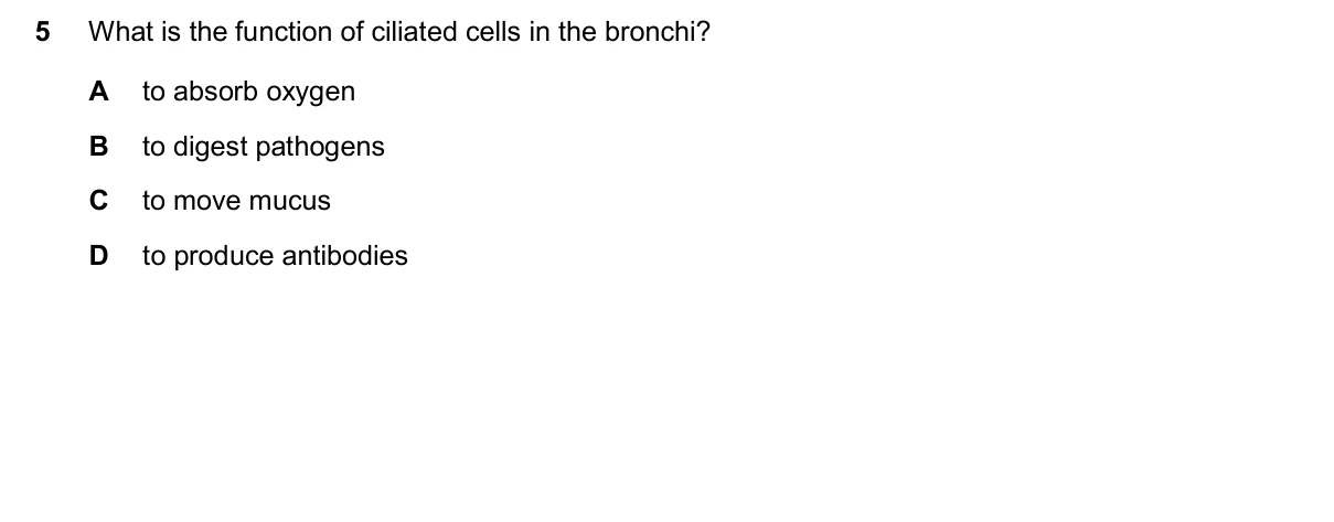 Question 5, November 2024, 0610 Paper 11