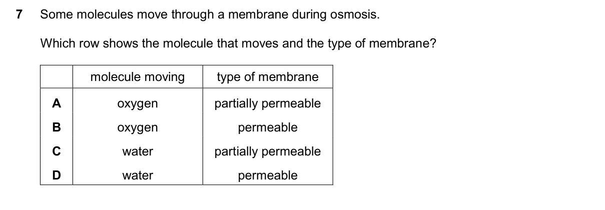 Question 7, November 2024, 0610 Paper 11