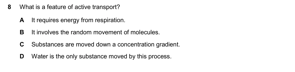 Question 8, November 2024, 0610 Paper 11