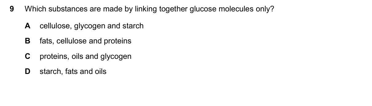 Question 9, November 2024, 0610 Paper 11