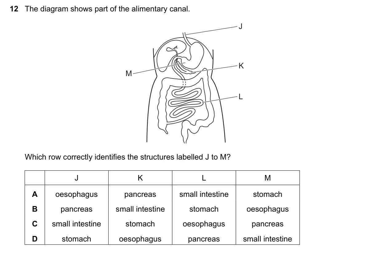 Question 12, November 2024, 0610 Paper 21