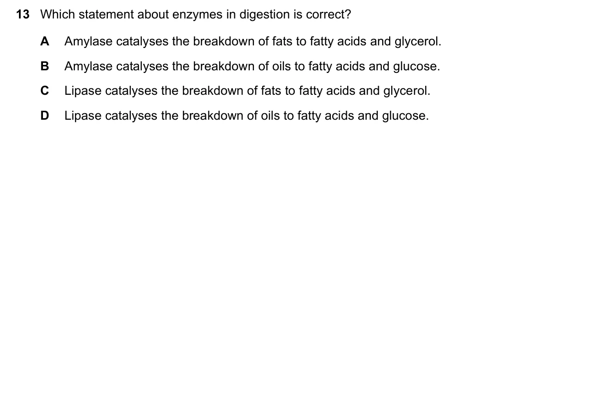 Question 13, November 2024, 0610 Paper 21