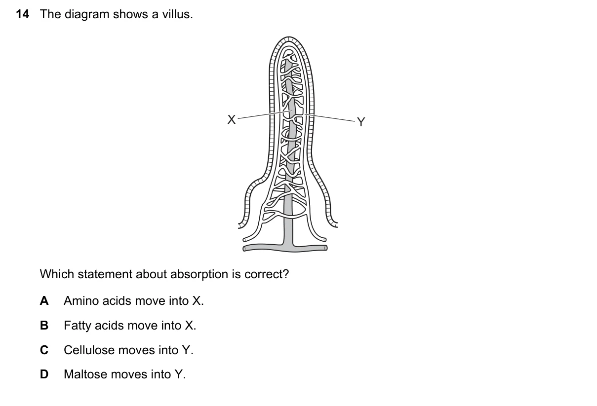 Question 14, November 2024, 0610 Paper 21