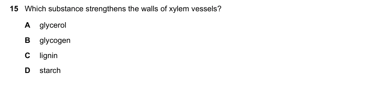 Question 15, November 2024, 0610 Paper 21