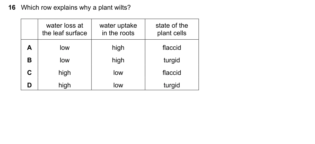 Question 16, November 2024, 0610 Paper 21