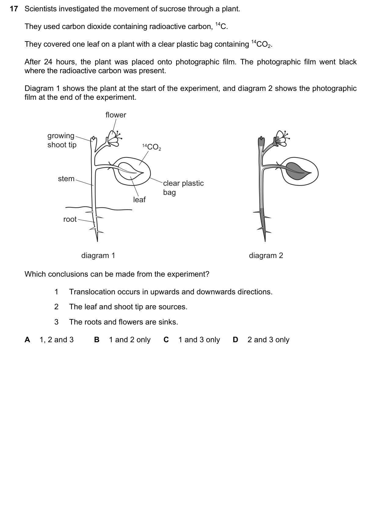 Question 17, November 2024, 0610 Paper 21