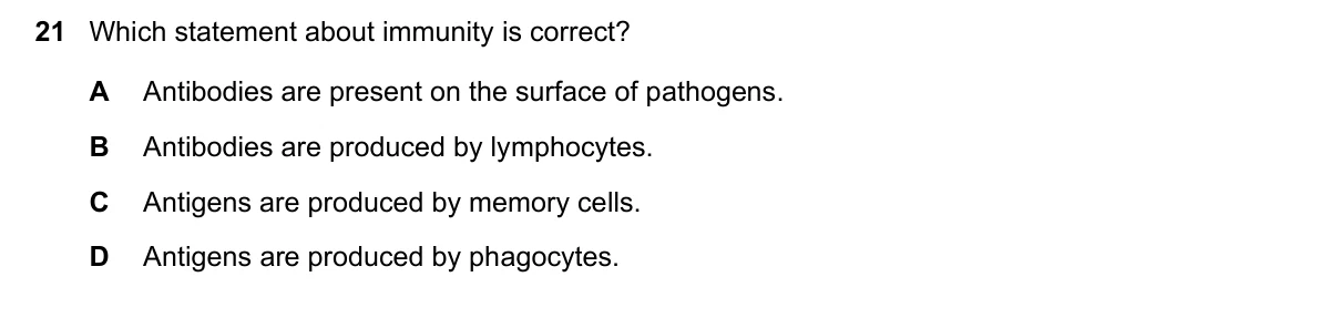 Question 21, November 2024, 0610 Paper 21