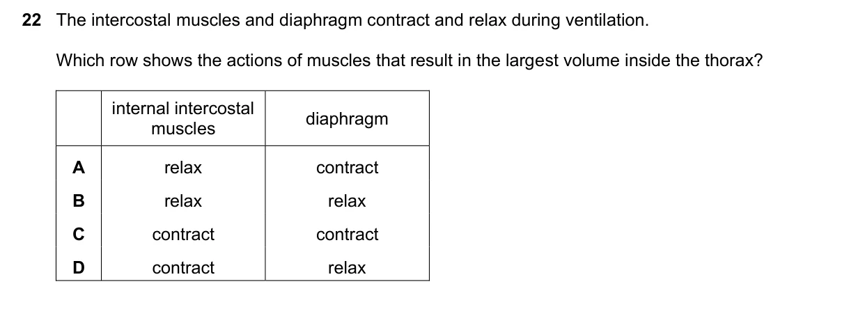 Question 22, November 2024, 0610 Paper 21