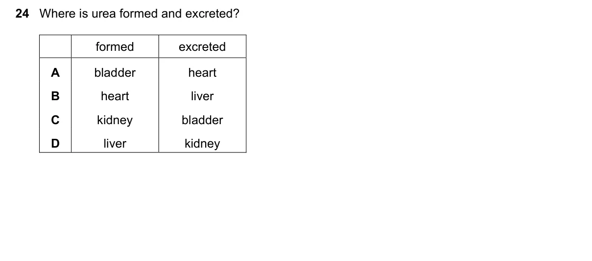 Question 24, November 2024, 0610 Paper 21