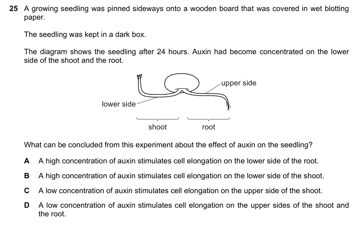 Question 25, November 2024, 0610 Paper 21