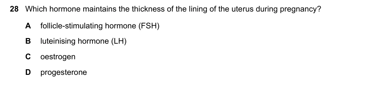 Question 28, November 2024, 0610 Paper 21