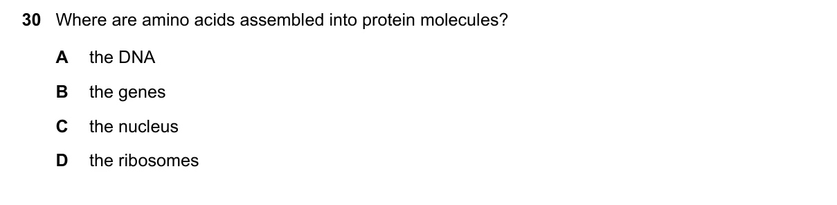 Question 30, November 2024, 0610 Paper 21