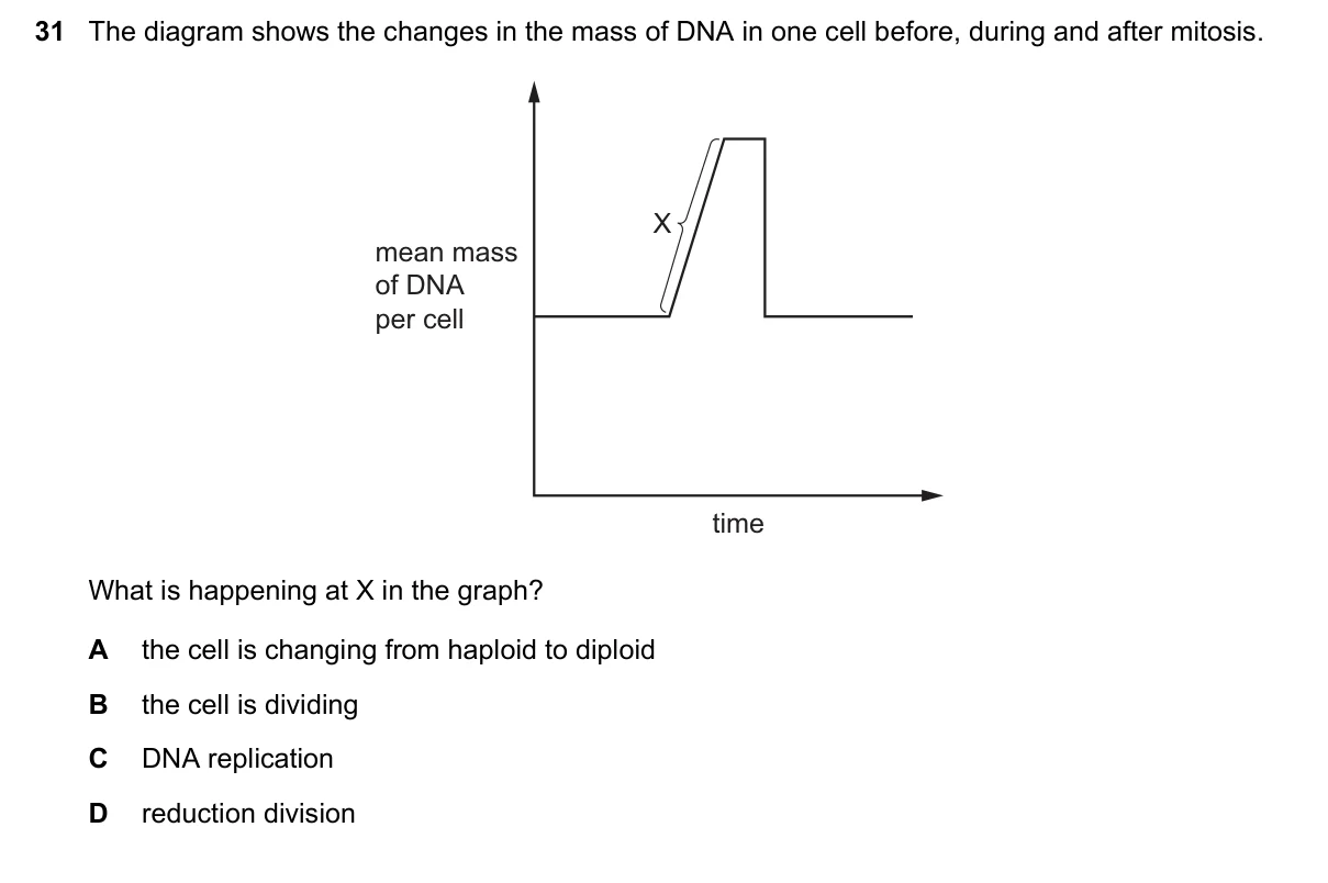 Question 31, November 2024, 0610 Paper 21