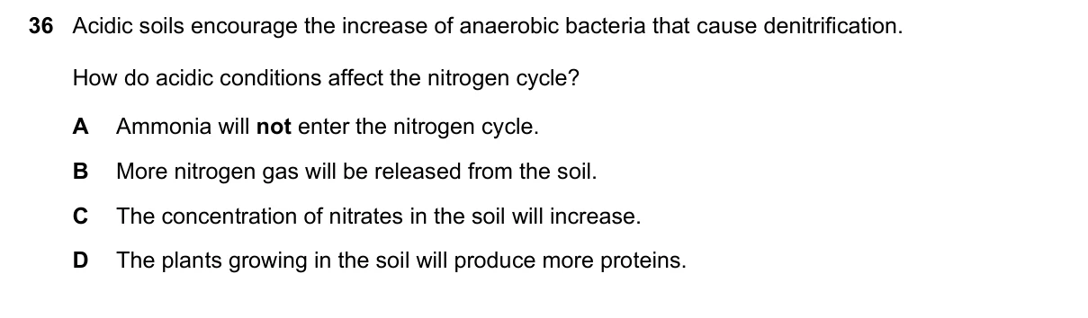Question 36, November 2024, 0610 Paper 21