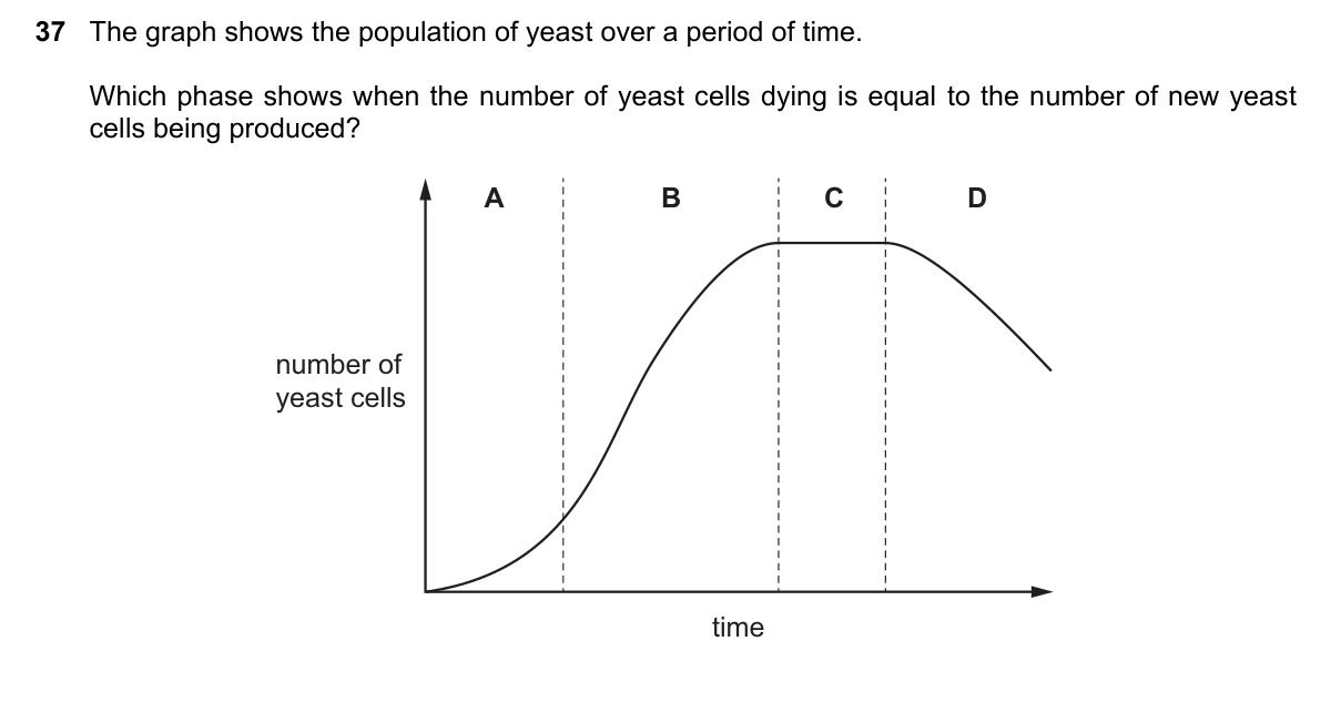 Question 37, November 2024, 0610 Paper 21