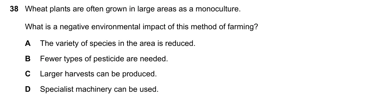 Question 38, November 2024, 0610 Paper 21