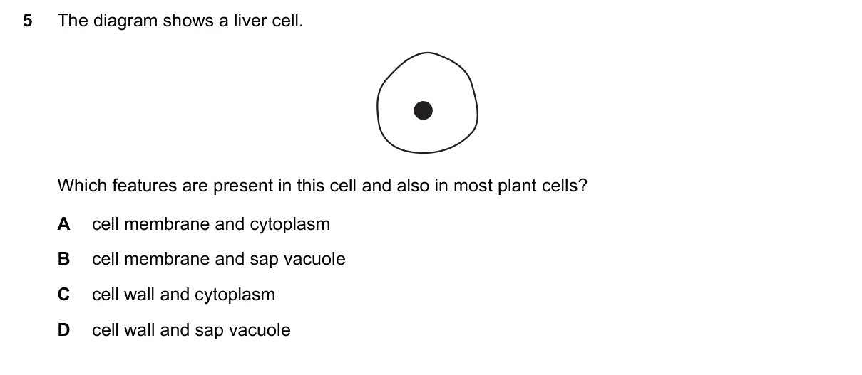 Question 5, November 2024, 0610 Paper 21