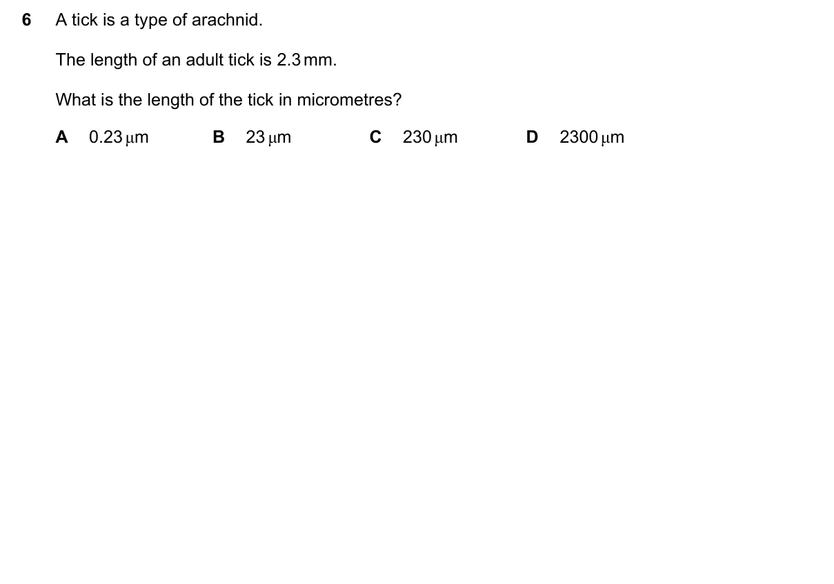 Question 6, November 2024, 0610 Paper 21