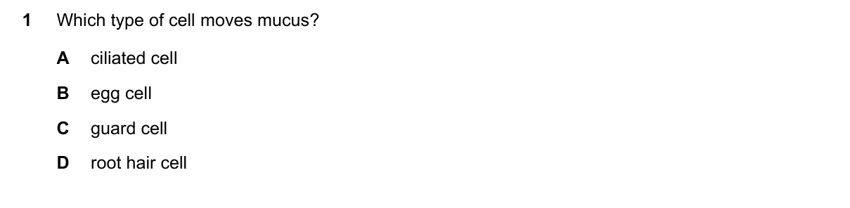 Question 1, November 2024, 0610 Paper 12