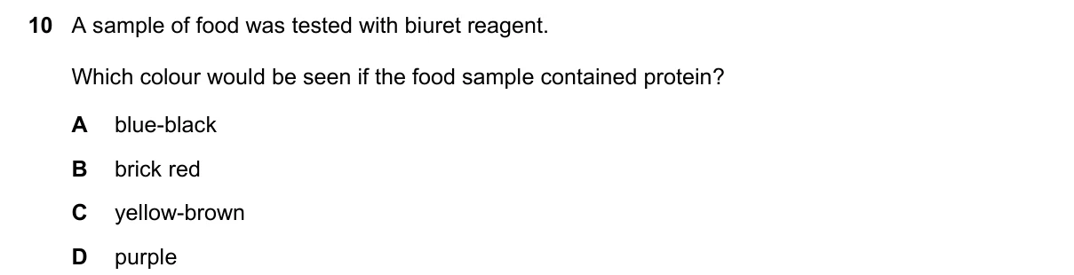 Question 10, November 2024, 0610 Paper 12