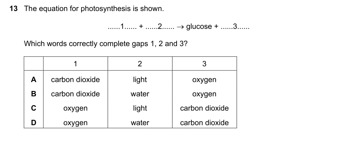 Question 13, November 2024, 0610 Paper 12